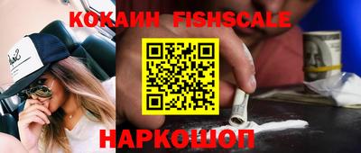 МДПВ Камышлов