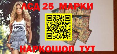 МДПВ Камышлов