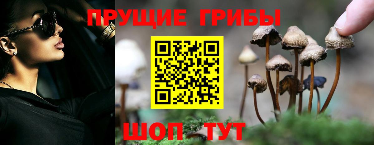 Галлюциногенные грибы мицелий  Вход с VPN  Псилоцибиновые грибы прущие грибы  Златоуст 